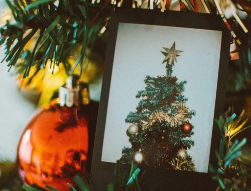 King of Christmas and Lit Christmas Trees