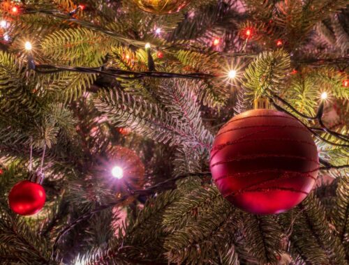 King of Christmas: Elevate Décor