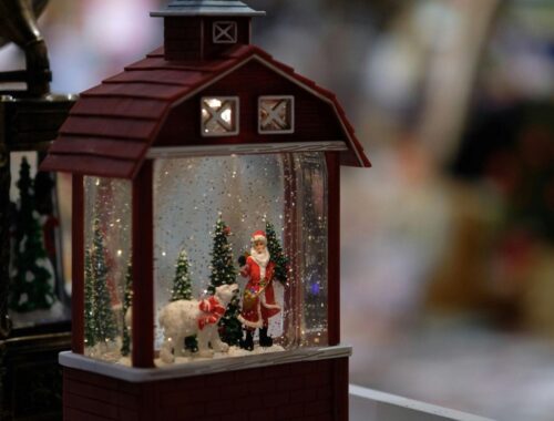 The Magic of Choosing Your Christmas Tree